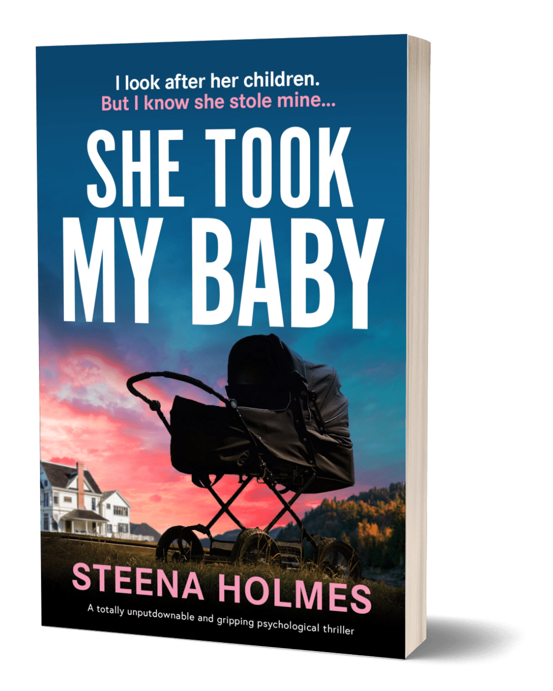 She Took My Baby